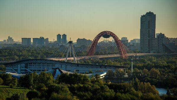 Живописный мост в Москве. Архивное фото