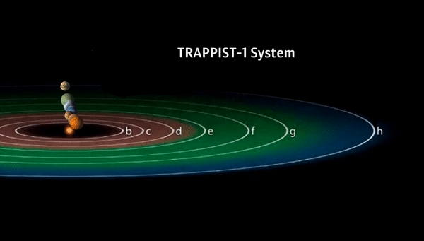 Синхронизированное вращение семи планет системы TRAPPIST-1