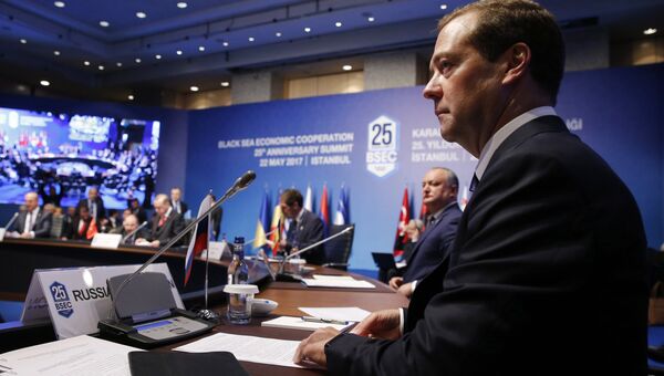 Премьер-министр Дмитрий Медведев на саммите ОЧЭС в Стамбуле. 22 мая 2017
