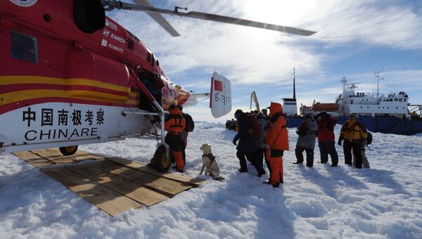 Китайский вертолет в Антарктике. Архивное фото