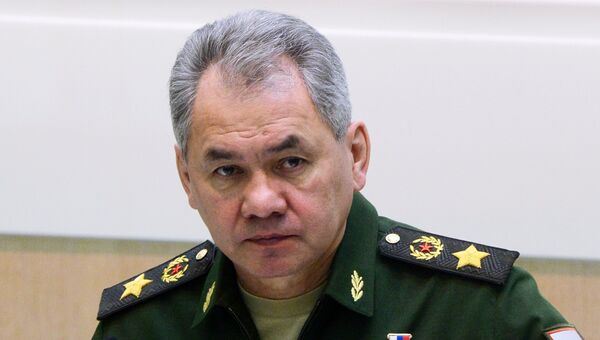 Министр обороны РФ Сергей Шойг. Архивное фото