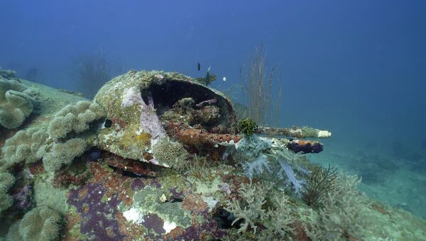 Остов бомбардировщика B-25, потерпевшего крушение у берегов Новой Гвинеи