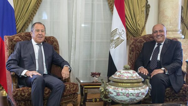 Министр иностранных дел РФ Сергей Лавров и министр иностранных дел Египта Самех Шукри во время встречи в Каире. 29 мая 2017