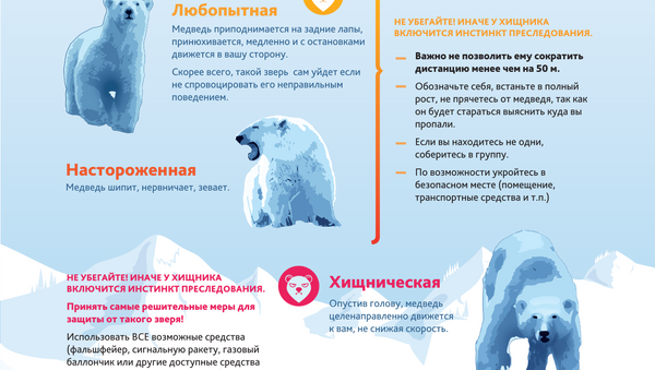 Обучение мерам безопасности при встрече с белым медведем очень важно не только для Якутии, но и для других арктических регионов России, отмечает один из авторов инструкции, эксперт по сохранению белого медведя Виктор Никифоров.