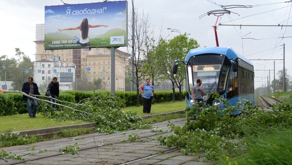 Сломанное ураганом дерево, на трамвайных путях в Москве. Архивное фото