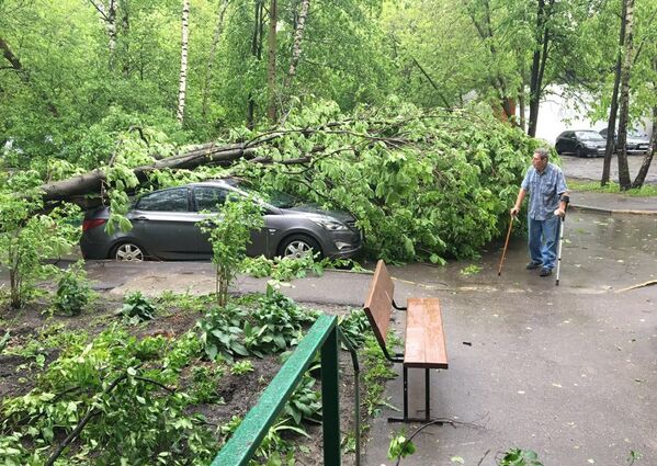 Сломанное ураганом дерево во дворе жилого дома в Москве
