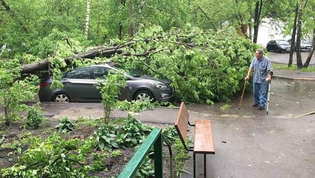 Сломанное ураганом дерево во дворе жилого дома в Москве. Архивное фото