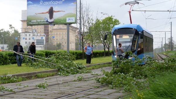 Сломанное ураганом дерево на трамвайных путях в Москве