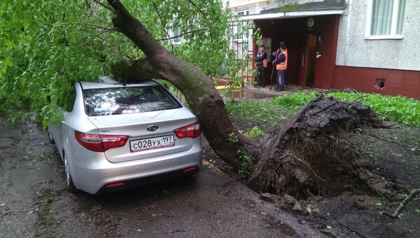 Автомобиль, пострадавший в результате урагана в Москве. 29 мая 2017