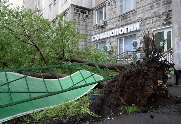 Поваленные ураганом деревья, во дворе жилого дома в Москве