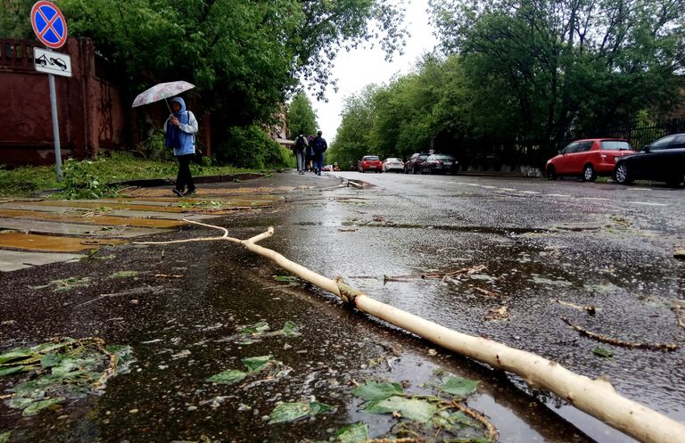 Сломанное ураганом дерево на улице города Москвы