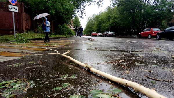 Сломанное ураганом дерево на улице Москвы. Архивное фото