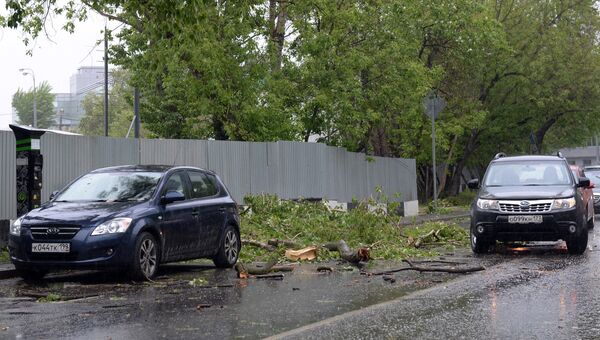 Сломанное ураганом дерево на проезжей части одной из улиц в Москве