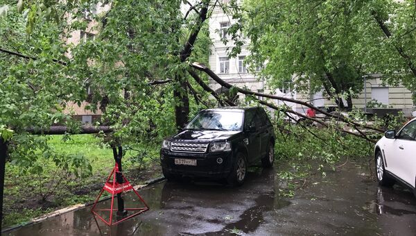 Последствия урагана в Москве. 29 мая 2017