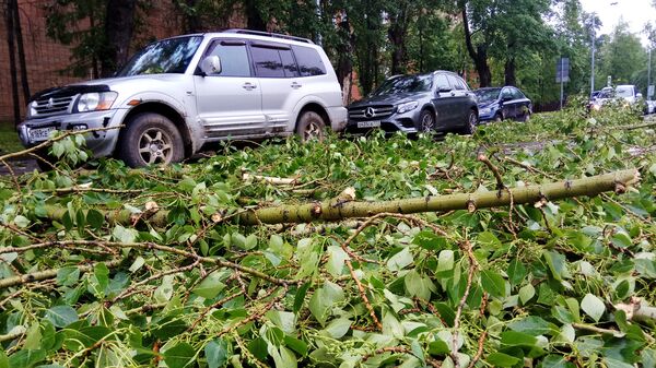 Автомобили, пострадавшие в результате урагана. Архивное фото