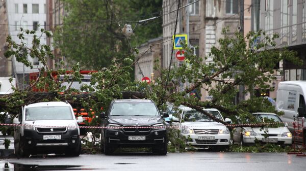 Последствия шквалистого ветра в Москве