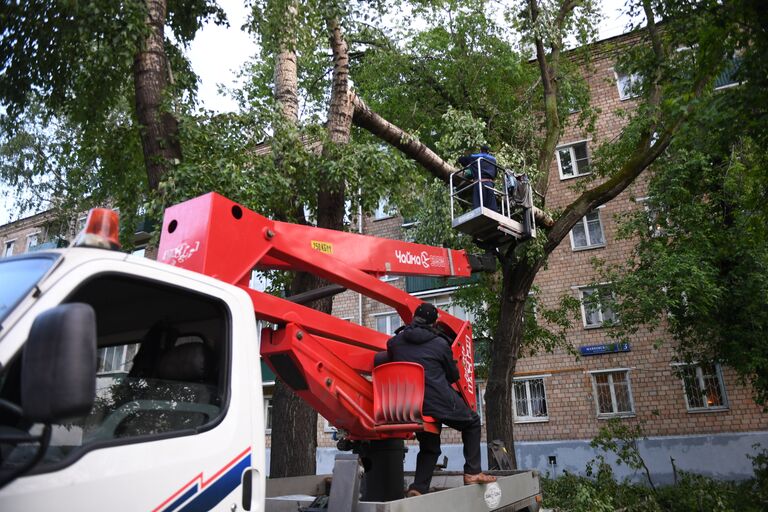 Ликвидация последствий урагана в Москве