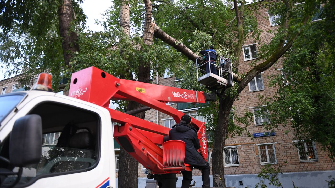 Все поваленные ветром деревья и поврежденные конструкции в Москве убраны -  РИА Новости, 13.05.2021