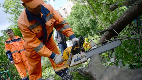 Работники коммунальных служб отпиливают ветки поваленных деревьев в одном из дворов Москвы