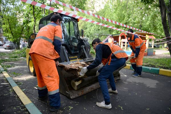 Работники коммунальных служб убирают поваленные деревья в одном из дворов Москвы
