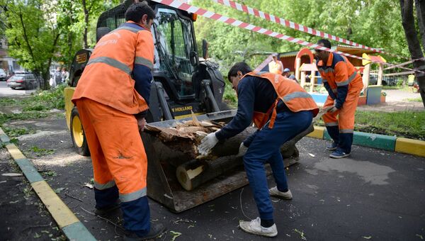 Работники коммунальных служб убирают поваленные деревья в одном из дворов Москвы. Архивное фото