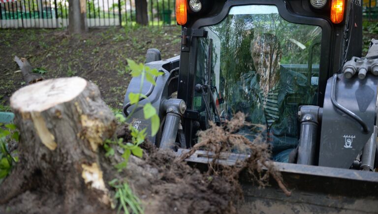 Работники коммунальных служб убирают поваленные деревья в одном из дворов Москвы