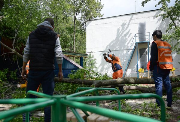 Работники коммунальных служб рубят ветки поваленных деревьев в одном из дворов Москвы