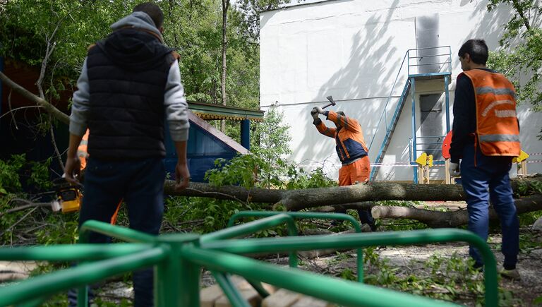 Работники коммунальных служб рубят ветки поваленных деревьев в одном из дворов Москвы
