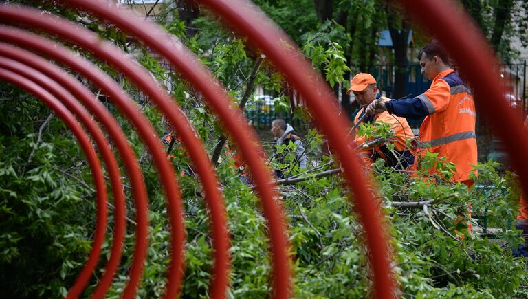 Работники коммунальных служб отпиливают ветки поваленных деревьев в одном из дворов Москвы
