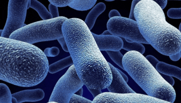 Так в представлении художника наночастицы разрушают бактерию