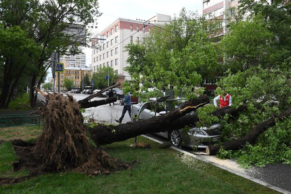 Сломанное ураганом дерево на одной из улиц в Москве