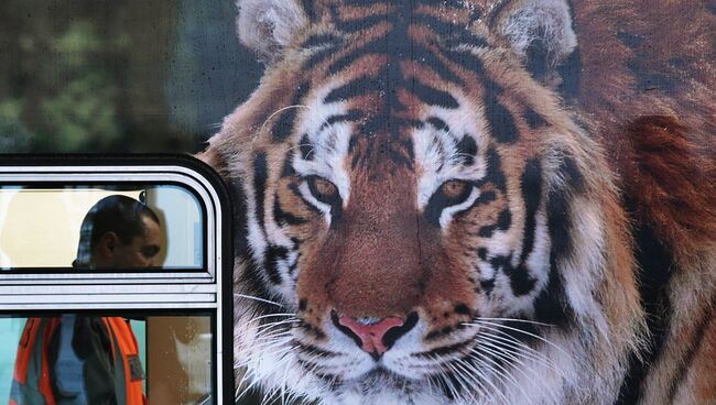 Запуск поезда Северная Пальмира по маршруту Санкт-Петербург - Адлер Запуск поезда Северная Пальмира по маршруту Санкт-Петербург - Адлер