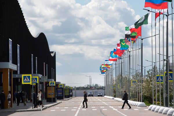 Флаги стран-участниц Санкт-Петербургского международного экономического форума 2017 у выставочного комплекса Ленэкспо