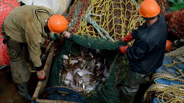 Россия и Эстония договорились о квотах на вылов рыбы в приграничных озерах