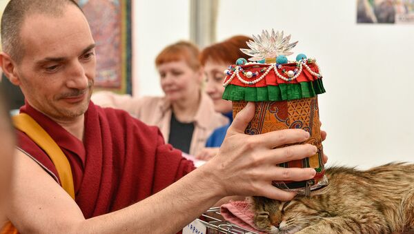 Будийский ритуал благословения домашних питомцев москвичей