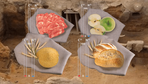 Доли изотопов углерода и азота в пище выдают то, как древние люди выращивали ее ингредиенты