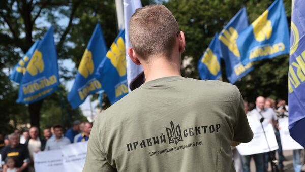 Сторонник Правого сектора* на митинге националистов во Львове