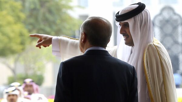 Эмир Катара шейх Тамим бен Хамад Аль Тани и президент Турции Реджеп Эрдоган во время встречи в Дохе. Архивное фото