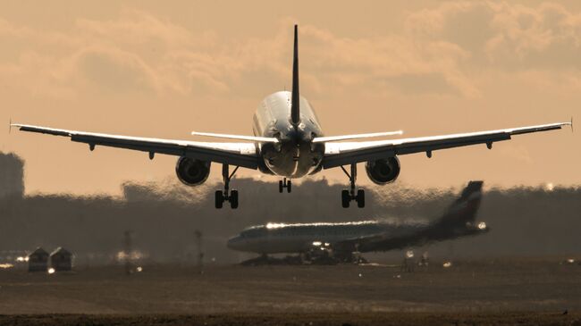 Самолет совершает посадку в международном аэропорту Шереметьево. Архивное фото