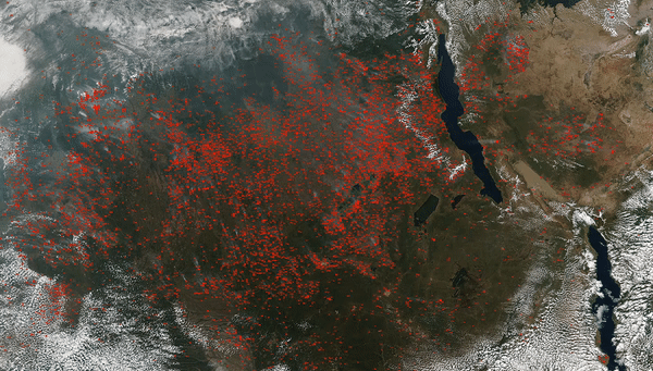 Красными точками отмечены очаги пожаров в Центральной Африке