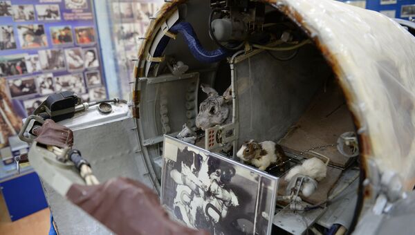 Биоспутник Космос-110, в котором летали последние советские собаки-космонавты Ветерок и Уголёк, в музее истории космодрома Байконур.