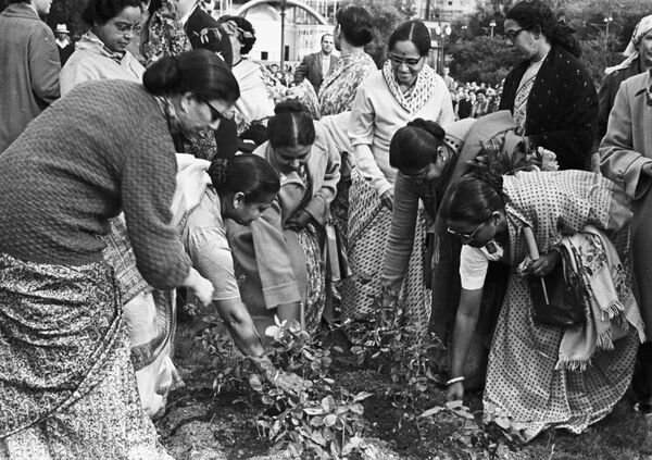 Индийские женщины высаживают розы на аллее Дружбы. Москва, 1963