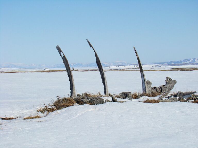 На древнем эскимосском поселении Масик (Мечигмен)