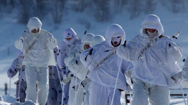 Российские военнослужащие в Арктике. Архивное фото