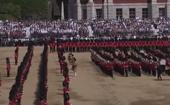 Королевский гвардеец, потерявший сознание на параде в Лондоне