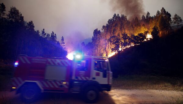 Лесной пожар в Португалии