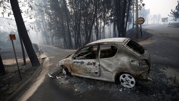 Последствия пожара в Португалии