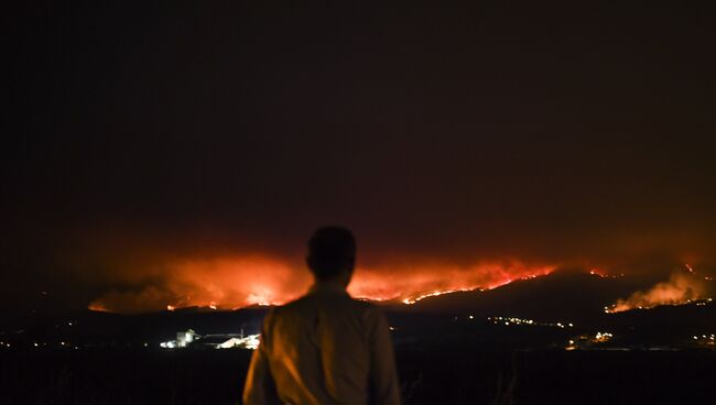 Человек на обочине дороги наблюдает за пожаром в Португалии. Архивное фото