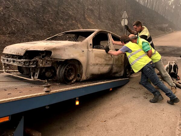 Последствия лесных пожаров в Португалии