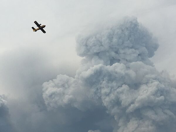 Самолет пролетает над дымом от лесных пожаров в Португалии